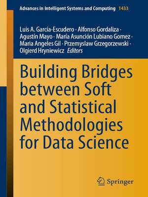 cover image of Building Bridges between Soft and Statistical Methodologies for Data Science